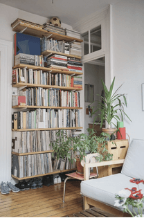 shelves-and-plants-.png