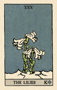 lilies-card.jpg