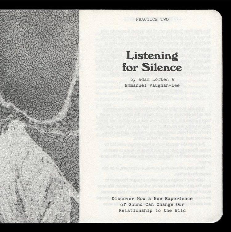 Emergence Magazine: Listening for Silence