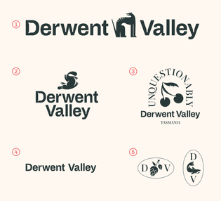 derwent_valley_logo_secondary_versions.png