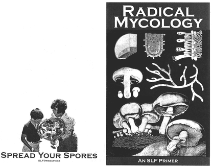 radical-mycololgy.pdf