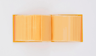 20 Slices of American Cheese