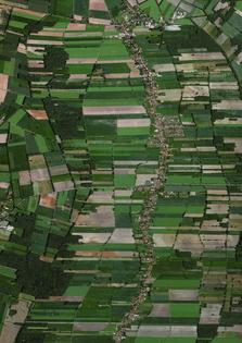 aerial farms (or plant cells or circuit board or cityscape or lichen or)