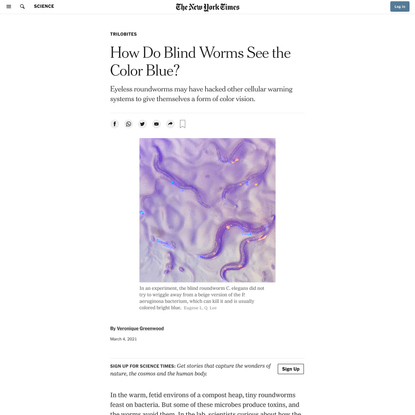 How Do Blind Worms See the Color Blue?