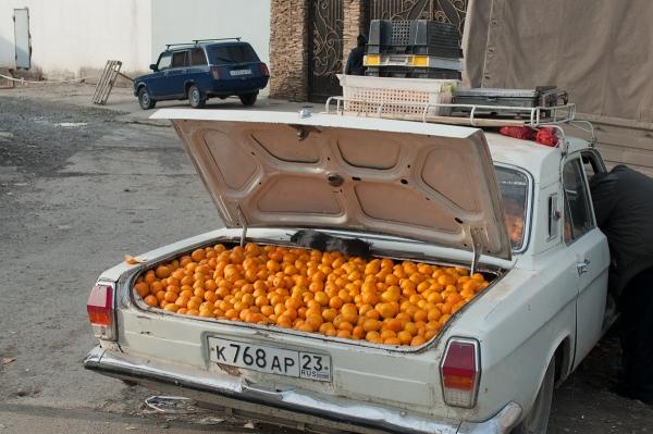 tumblr_m6nk8gXHqS1rasiv1o1_1280.jpg