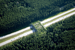 https://www.metropolismag.com/cities/mcharg-design-with-nature-50th-anniversary/pic/57450/