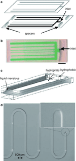 978-1-4614-5491-5_19_part_fig1-1495_html.gif