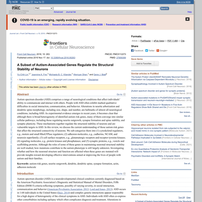 A Subset of Autism-Associated Genes Regulate the Structural Stability of Neurons
