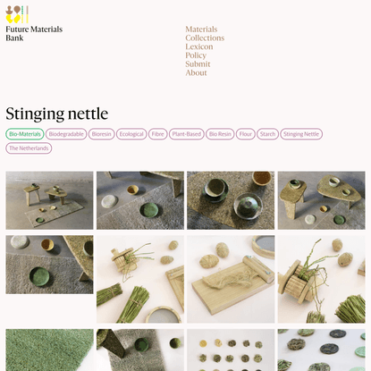 Stinging nettle — Future Materials Bank