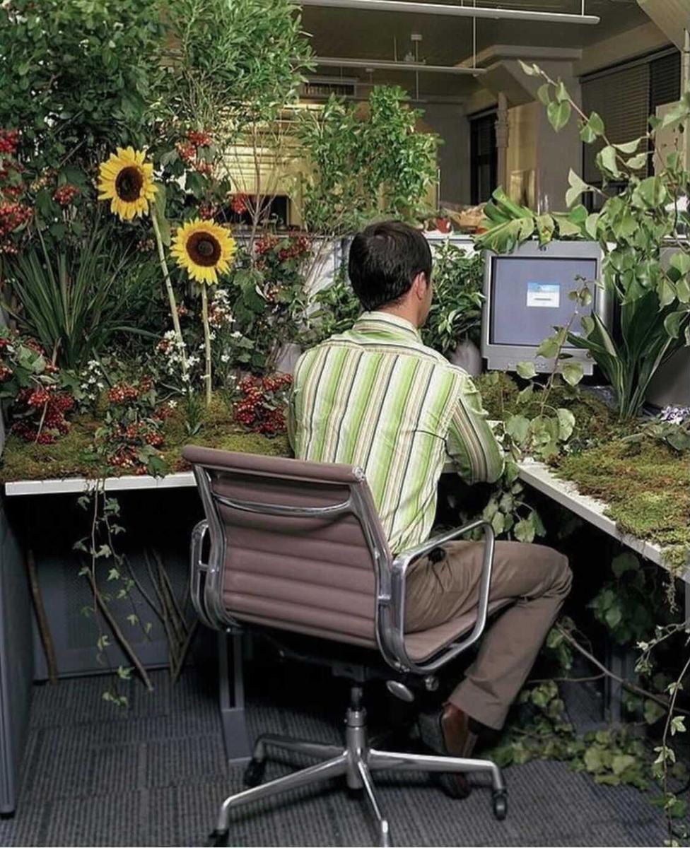Computer Garden