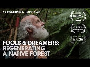 Man Spends 30 Years Turning Degraded Land into Massive Forest - Fools & Dreamers (Full Documentary)