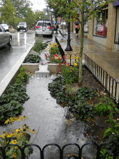 rain-garden-photos-_-borough-of-state-college-government.jpg