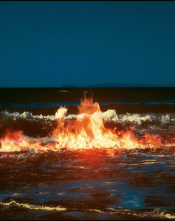 neil krug