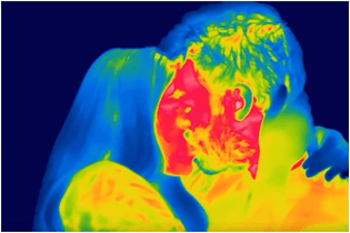 Thermal heat image of two people kissing