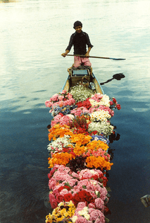 flowerboat.jpg
