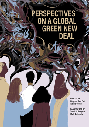 Perspectives on a Global Green New Deal