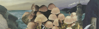 mushroomscape-seana-gavin-thumb.jpg