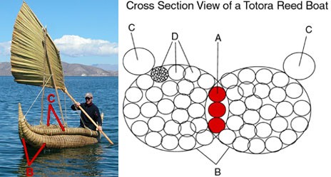 cross_section.jpg