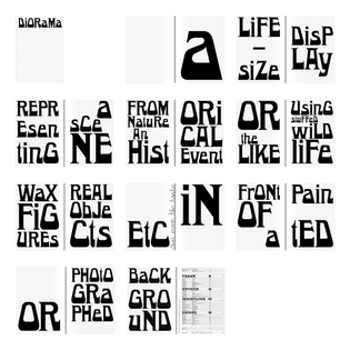 9ae1c71b-2c9b-4917-a538-956349ba472f_guillaume_sbalchiero_diorama_logotype_bet_typeface_06.jpg?auto=compress-format-rect=0-0...