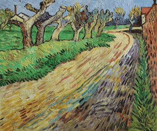 Pollard Willows by Van Gogh (1889)