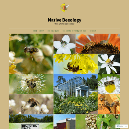 Native Beeology