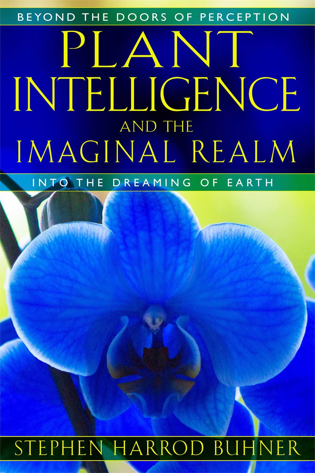 Stephen Harrod Buhner, Plant Intelligence and the Imaginal Realm: Beyond the Doors of Perception into the Dreaming of Earth (2014)
