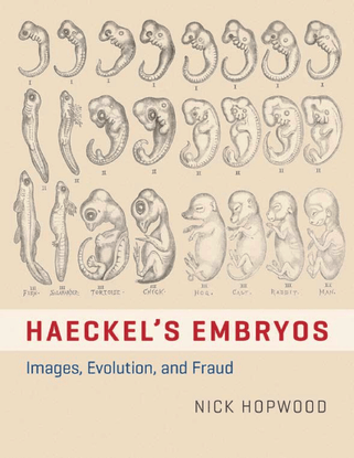 haeckel-s-embryos_-images-evol-nick-hopwood.pdf