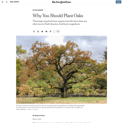 Why You Should Plant Oaks - The New York Times