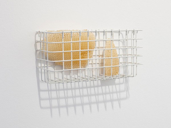 Untitled (Honeycombs) by Sêma Bekirovic