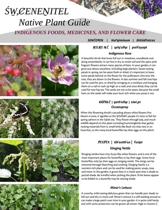 ŚW̱,ȻENEṈITEL Indigenous Foods Initiative Native Plant Guide 