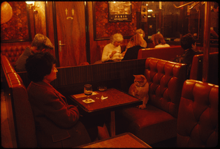 A regular at Le Louis IX in Paris, “Caramel” keeps a client company, May 1988.
Photograph by James L. Stanfield, National Geographic