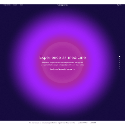 Experience as Medicine