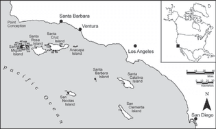 map-of-the-santa-barbara-channel-the-channel-islands-and-excavated-archaeological.png