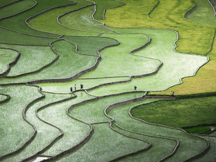 Tu Le Valley in Yen Bai Province, Vietnam
by QUỲNH ANH NGUYEN