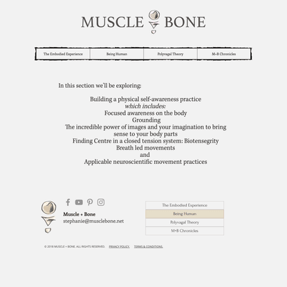 Exploring Movement | Muscle + Bone