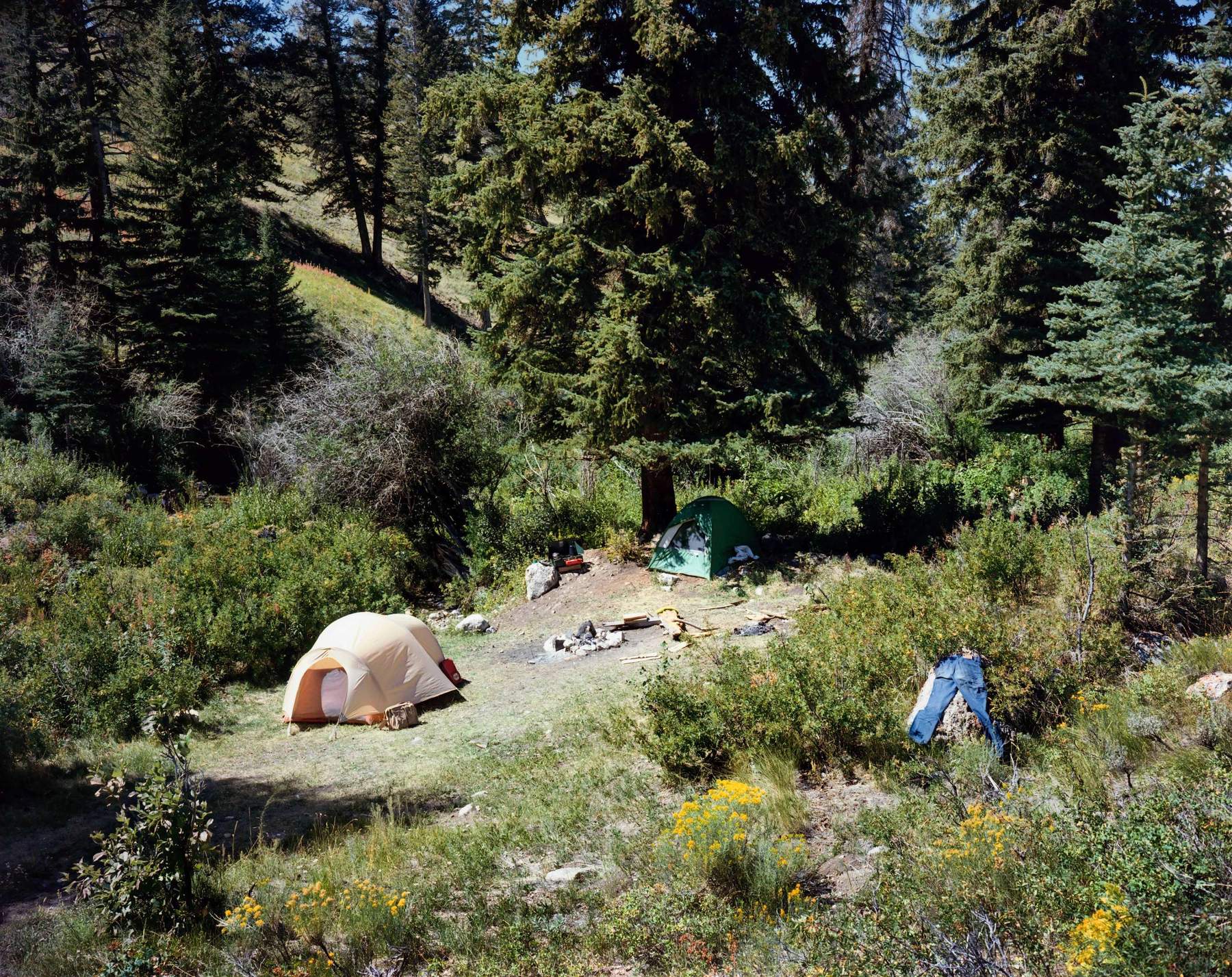 Stephen Shore - Camping (Common Place)