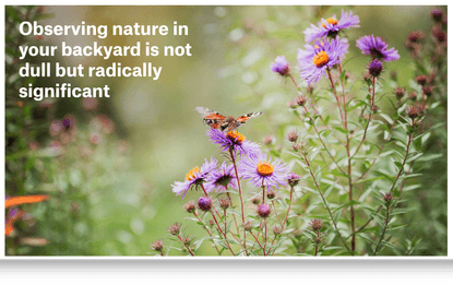 Observing nature in your backyard is not dull but radically significant | Psyche Ideas