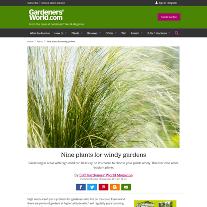 Nine plants for windy gardens