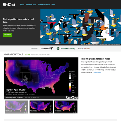 BirdCast - Bird migration forecasts in real-time