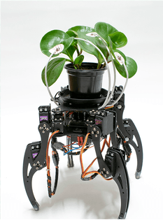Cyborg plant