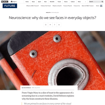 Neuroscience: why do we see faces in everyday objects?