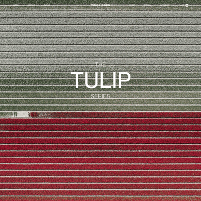 The Tulip Series