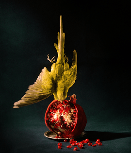 budgie-and-pomegranate.jpg