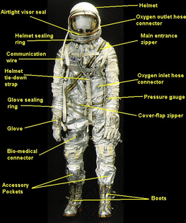 mercury_suit_diagram.jpg