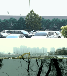Real Tree Diptych