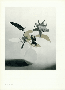 Leigh Wells