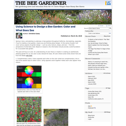 Using Science to Design a Bee Garden: Color and What Bees See