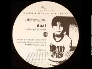 Asad Rizvi - Dual (Bushwacka! Remix) [Reverberations, 2005]