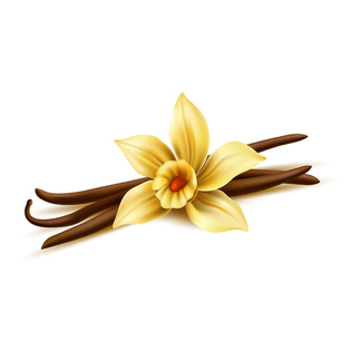 realistic-vanilla-flower-with-dry-sticks_208581-861.jpg