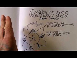 Intro to Identifying Flowering Plants